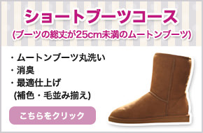 ショートブーツコースはこちら